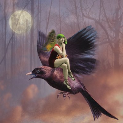 Vuelo, 2014 de Olga Snell